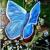Butterfly von A.Vinci