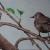 Amsel im Baum von