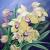 Orchideen von