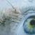 Im Auge der Kunst von Die Andere Art