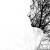 Roots of Thoughts von Tretti