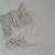 Katze ♥ von