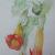 Trompetenblume von