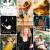 Collage All meine Katzen von Christina W.-N / cwn