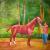 The horse von check