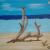 Lonely Beach von JWS