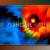 FLAME 022 von flameline