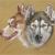 Best Friends 1 von Wolf Werner