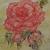 Orange Rose von alaja ashton