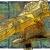 GoldenShipONE1.jpg von Siemel