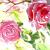 Rose I.jpg von FranchetU