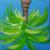 Palm upside down von JWS
