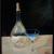 Leere Flasche mit Glas 1 von