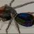 Spinne von OTTI