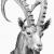 Steinbock von