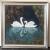 White swans von SaniSu