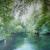 Birkenwerder Sommer von