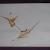 FLIEGENDER DRACHE von Ingled