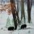 Wildschweine im Winterwald von Gräfin Vroni von Burgstein
