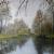 Birkenwerder Herbst von