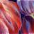 Tulpenblüten von