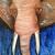 Elefant von