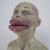 Duckface von Remigius Sappa