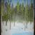 Winterwald von
