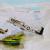 Dogfight von