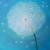 Pusteblume von mo