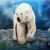 Polar-Feeling von A.Vinci