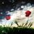 Dark above beauties von A.Vinci