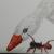 Gans mit Spinne von OTTI
