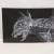 X RAY- CAT von