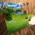 3D-Landschaft von Magnus Graf von Almerswind /Graf M.