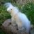 Little, kleines Pony von KEWA