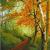 Herbstlandschaft von DKM