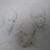 20160318_121315.jpg von Alfred Schroeders