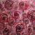 Swirls von