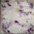 abstract V von Lilly Pelz