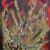 -Element, Feuer- von Vincenzzo