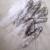 untitled von Lilly Pelz