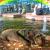 Regenbogen Brunnen von Plätzchenprinz