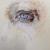 untitled von Lilly Pelz