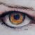 Das Auge von jaji