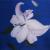 Flower 2 von