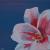Flower 1 von