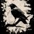 Crow (bleached look, crème white) von Bela Manson