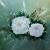 White Roses von E.Weiß