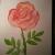 Rose von Angie